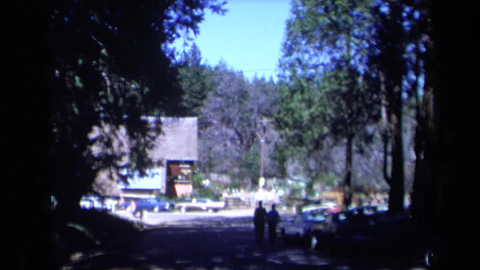 1969 California home-movie frame showing a shaded road near Daffodil Hill with parked cars, tall trees, and two visitors walking in the distance.