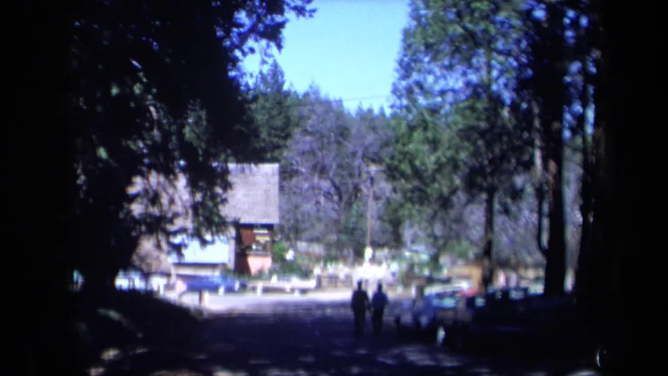 1969 California roadside view near Daffodil Hill with classic cars, visitors, trees, and low buildings visible through deep shade.