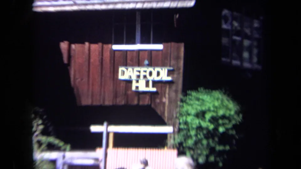 Close 1969 home-movie view of a rustic wooden Daffodil Hill building with signage, window, roofline, and shrubs in front.