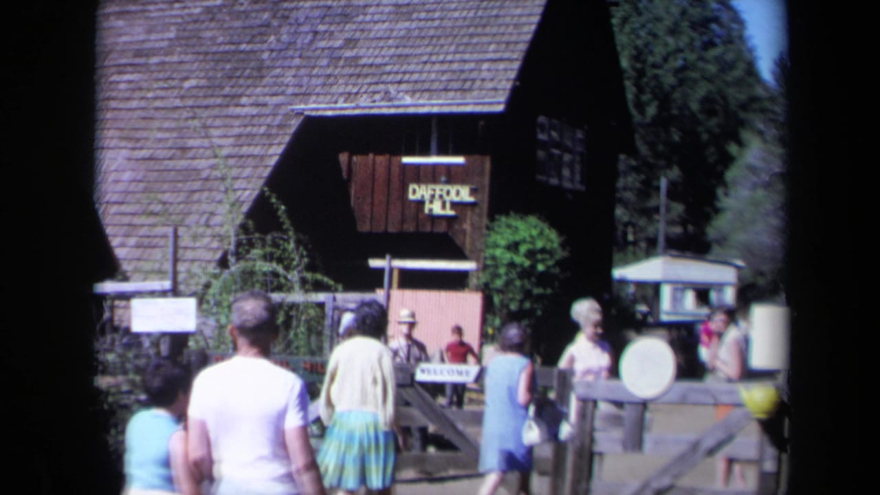 1969 California home-movie frame showing visitors near the wooden Daffodil Hill sign and entrance gate.