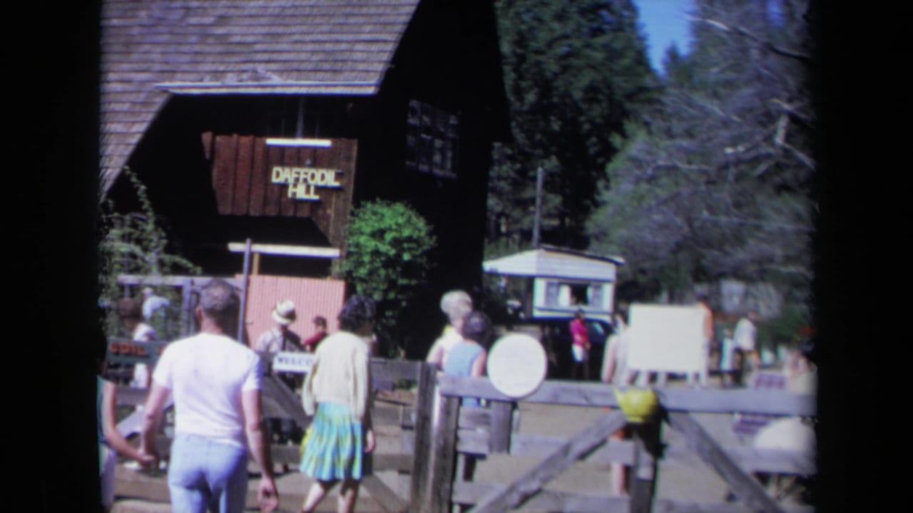 People gather near the Daffodil Hill entrance gate and wooden sign.