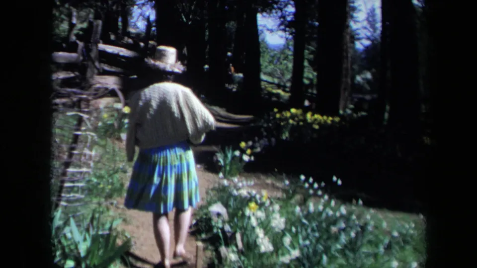 1969 California home-movie frame of a woman walking through a daffodil-lined path under tall trees.