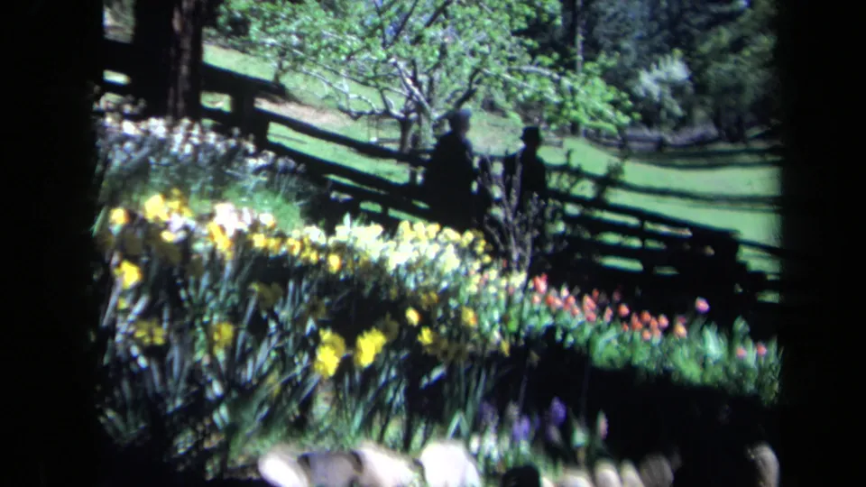 1969 California 8mm frame showing bright garden flowers before a split-rail fence, with two distant figures standing near trees.