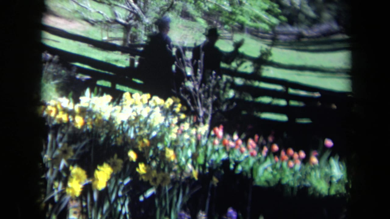 Garden flowers, split-rail fence, green lawn, and two distant figures in dark clothing.