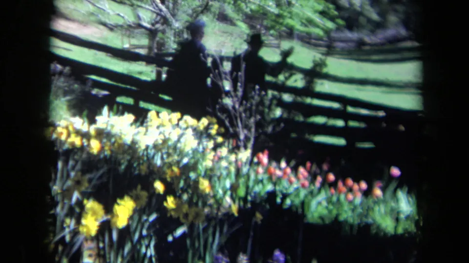 1969 California home-movie frame with yellow and red flowers in front of a rustic fence and two distant hat-wearing figures.