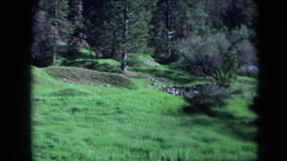 Lush green California hillside with trees and brush, seen through dark rounded 8mm frame edges.