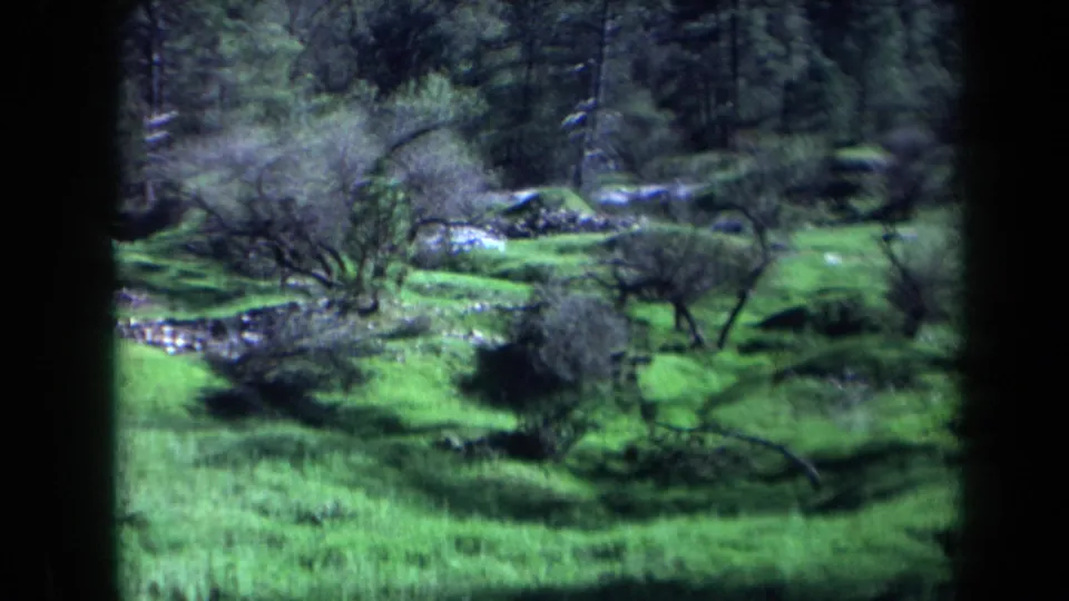 Pastoral California landscape with bright grass, scattered trees, brush, and a small stream framed by 8mm projection borders.