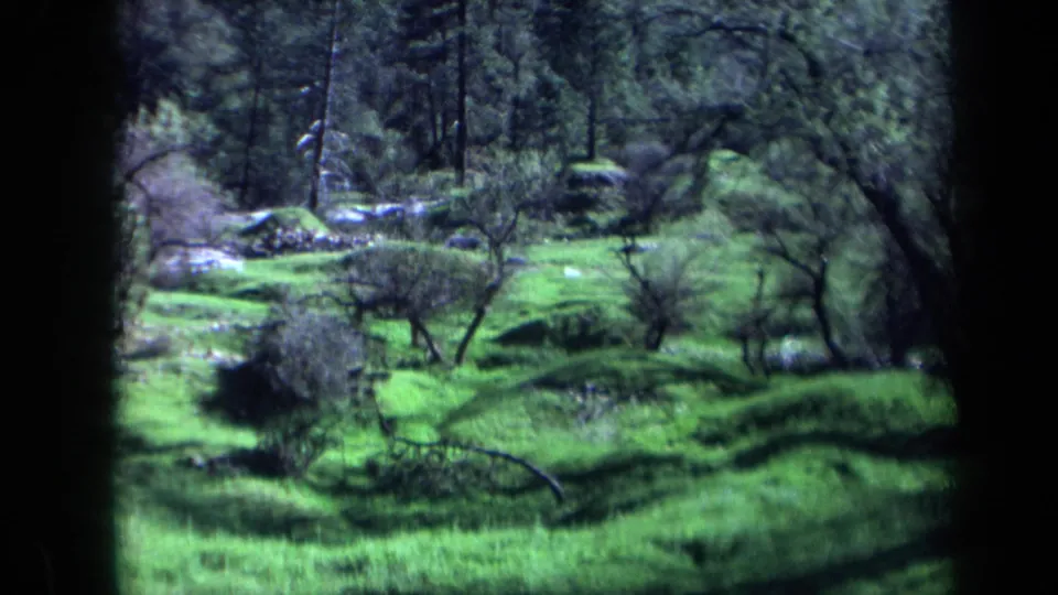 1969 California landscape frame with rolling green grass, scattered brush, pale rocks, and a dense line of pines behind.