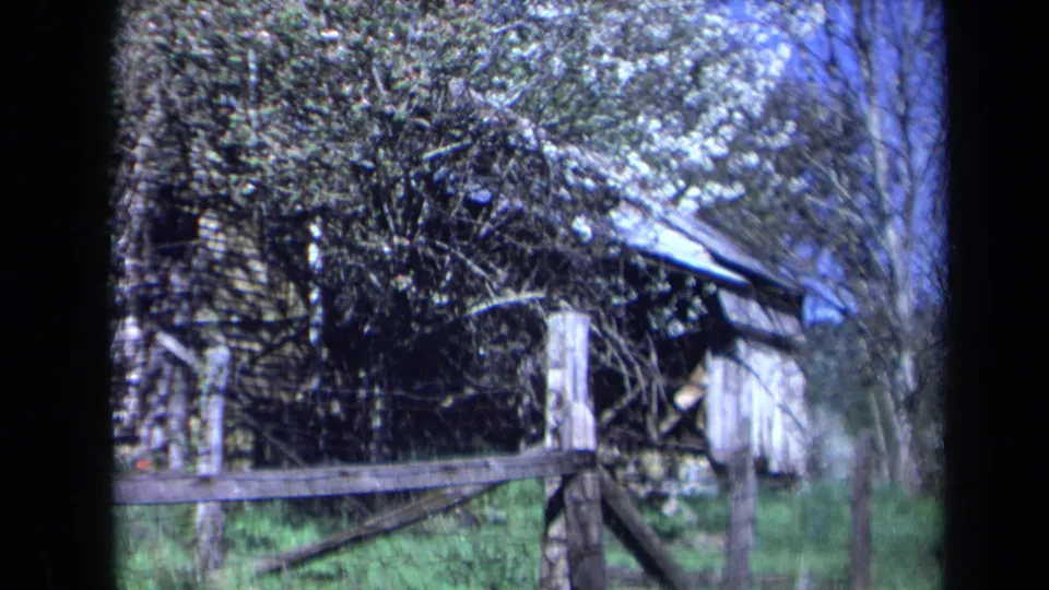 1969 California 8mm frame showing a wooden fence line, weathered shed, green yard, and white blossoms under blue sky.