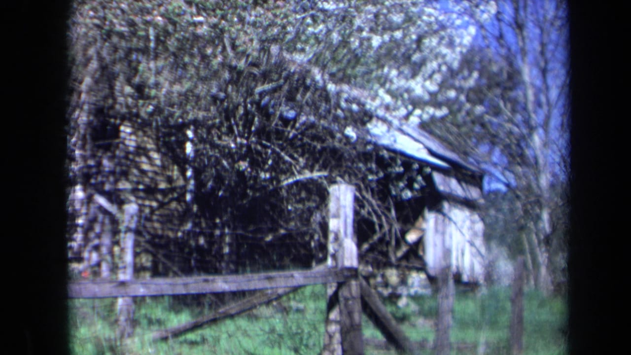 1969 California 8mm frame showing a wooded cabin approach with a rough wood fence, tall grass, trees, and soft vignetted film edges.