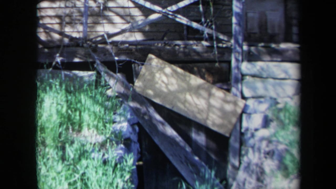 Close view of weathered cabin porch, stone foundation, vines, grass, and loose boards.