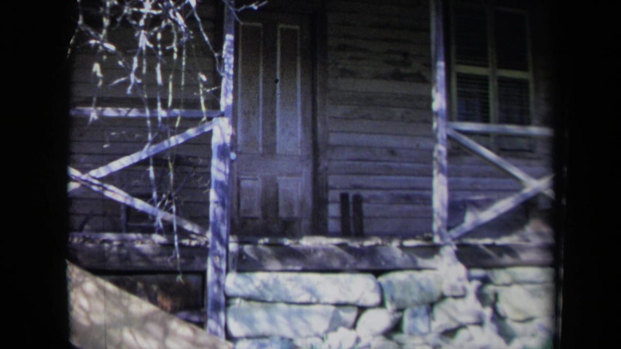 Weathered wooden porch with closed door, railing, stone foundation, and bare branches.