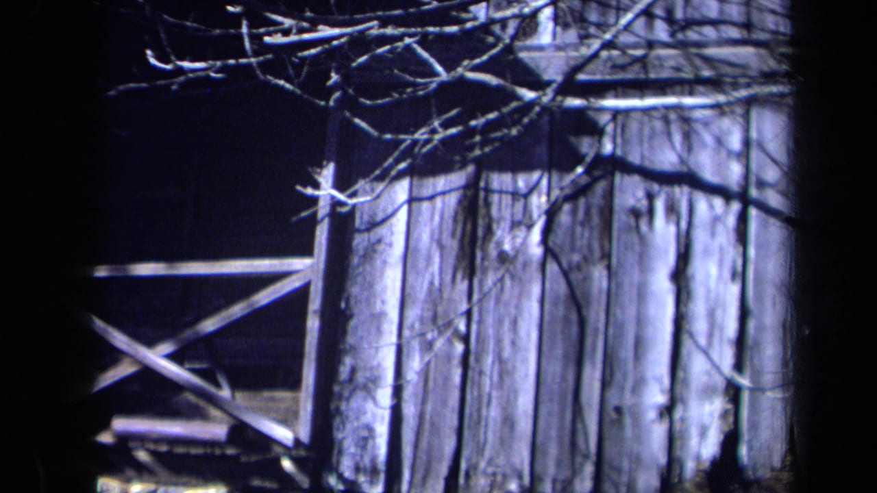 1969 California 8mm frame of gray barn or outbuilding boards, a dark tree trunk, bare branches, and a partial cross-braced gate.