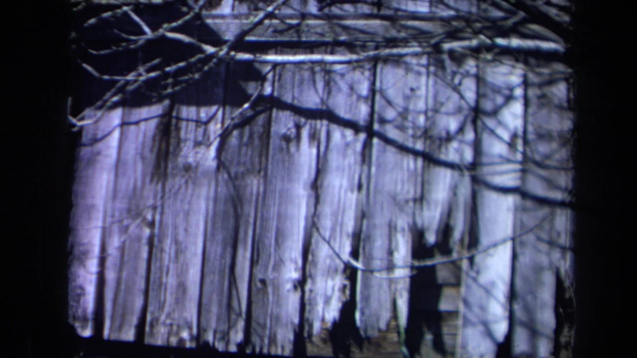 Close view of cracked vertical wooden planks with branch shadows across the surface.