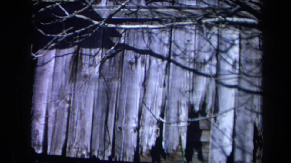 1969 California 8mm frame showing cracked gray planks on a barn or outbuilding, crossed by bare branches and dark shadow areas.