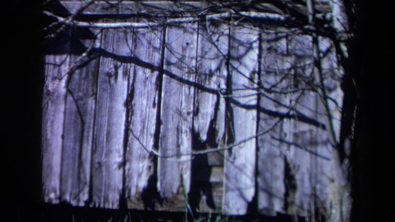 1969 California 8mm frame showing a weathered wooden cabin or shed wall with bare branches across the boards.