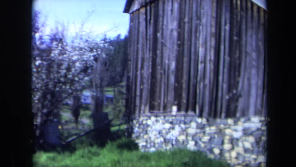1969 California rural scene with a weathered barn-like wall, stone foundation, trees, and grass in soft 8mm color.