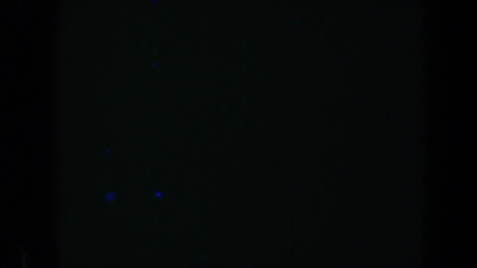 Underexposed 1969 8mm frame where the garden scene drops into darkness, leaving grain and faint blue artifacts visible.