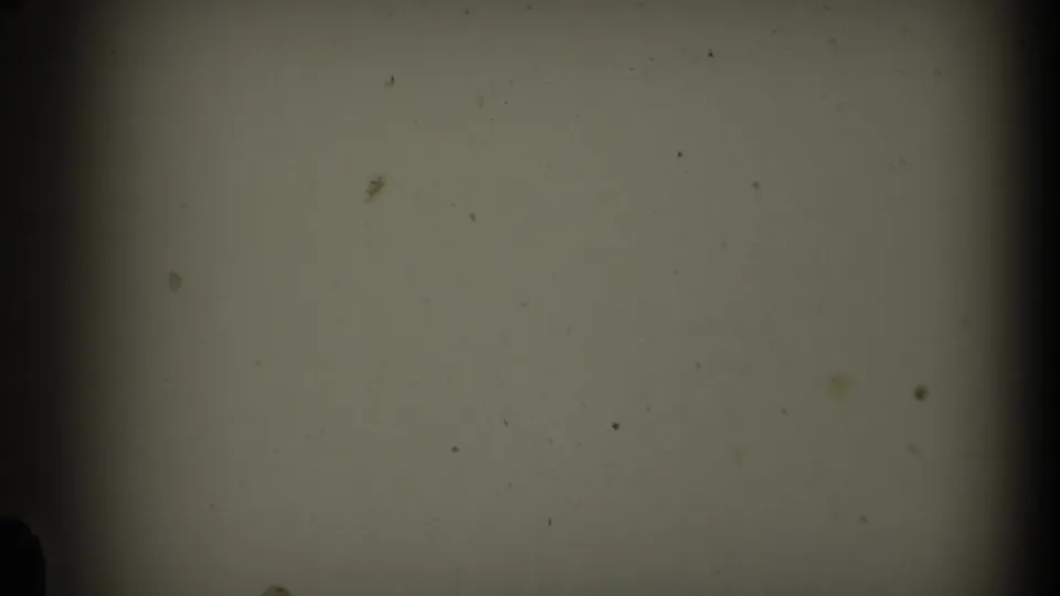 1969 California 8mm frame showing a blank pale surface with dark gate edges, scattered dust, fine grain, and mild discoloration.