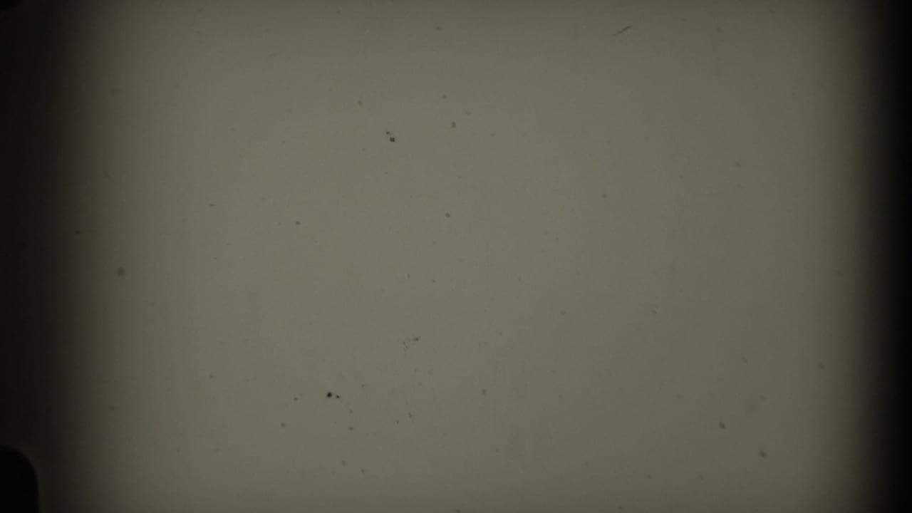 1969 California 8mm frame texture showing pale film, scattered dust, dark rounded gate edges, and a central vertical band.