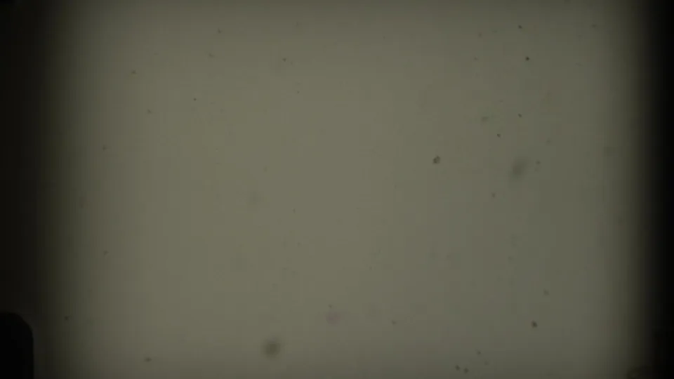 1969 California 8mm texture frame with dust specks, a horizontal frame line, dark gate edges, and faint purple chemical staining.