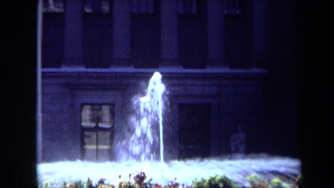 Illuminated fountain spray rises in front of a dark building with flowers below.