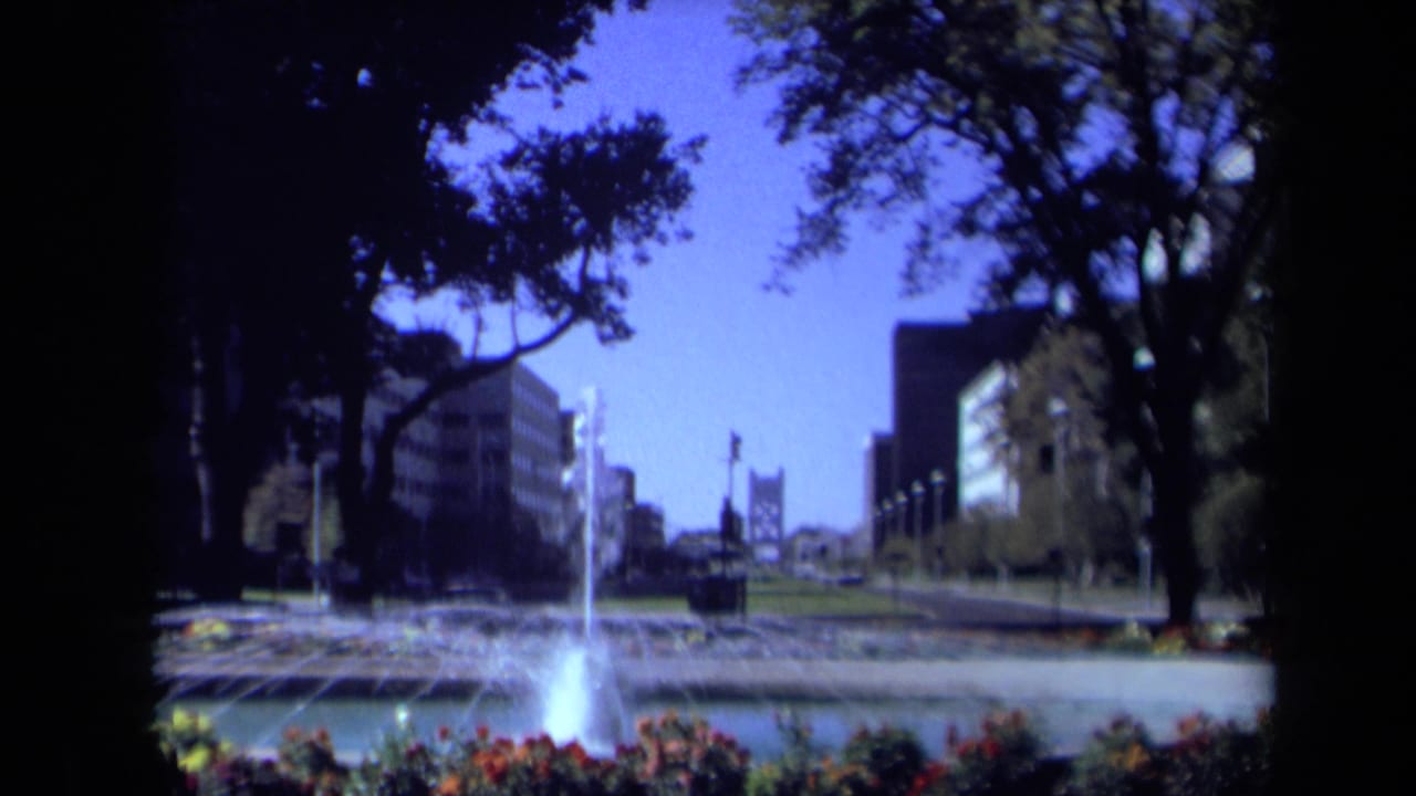 Wide view of a city fountain pool framed by trees, flowers, and distant buildings.