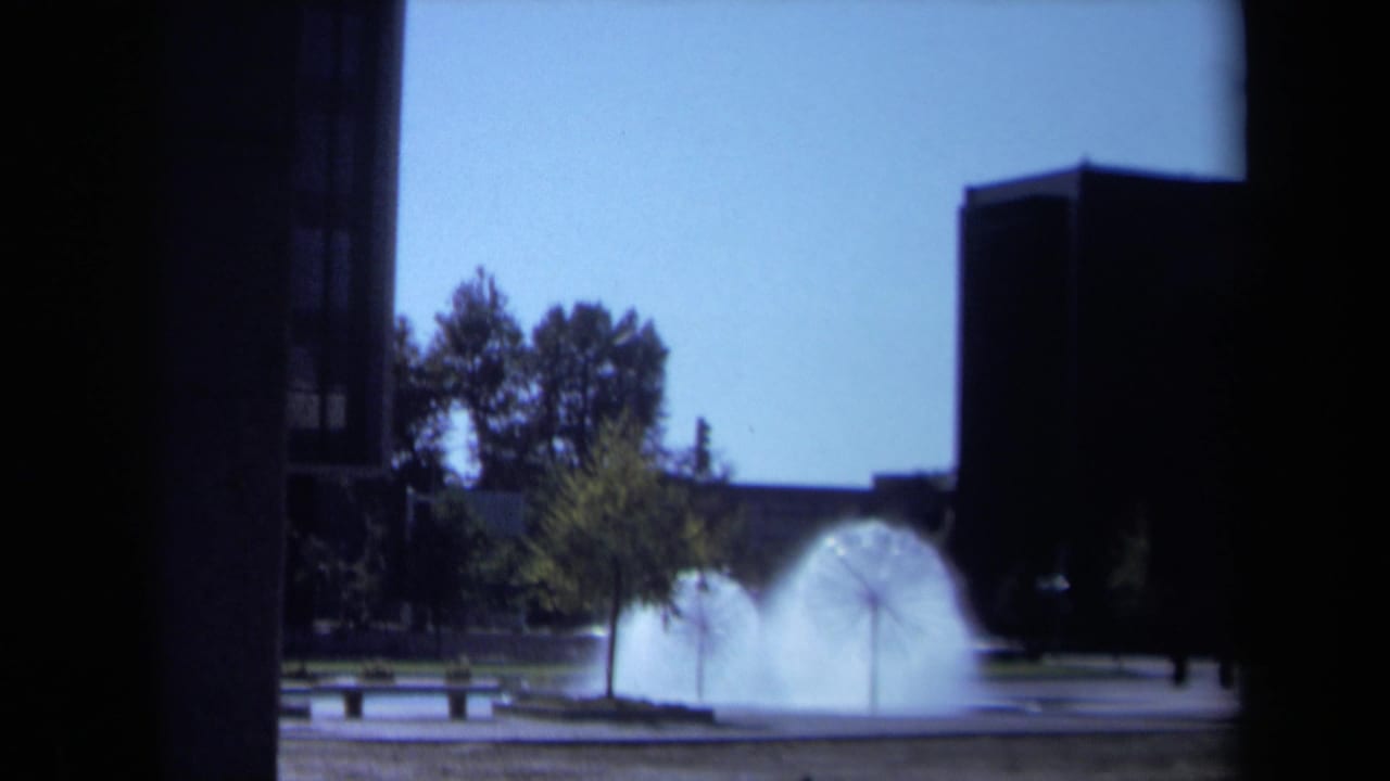 Wide plaza view with a dandelion-shaped fountain, trees, benches, and dark building edges.
