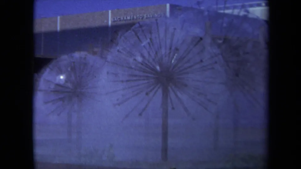 1969 8mm Sacramento view of rain falling on spherical dandelion-like sculptures near a Sacramento Savings sign.