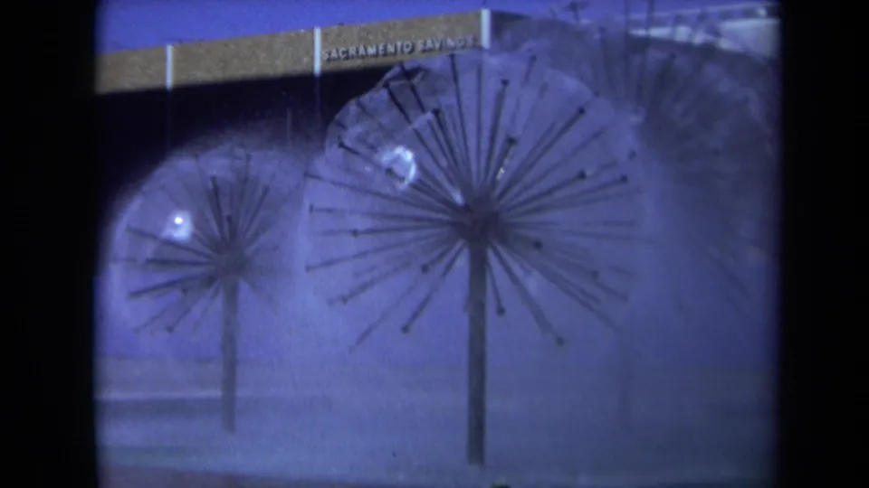 1969 Sacramento home-movie frame of rain-speckled dandelion sculptures below a visible Sacramento Savings sign.