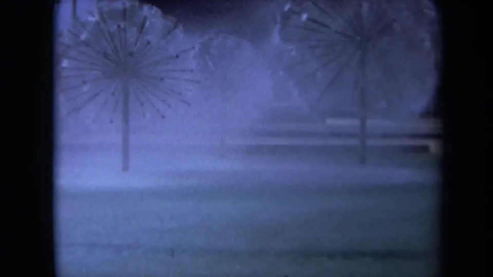 Rain-blurred 8mm frame from Sacramento showing dandelion-like sculptures, wet pavement, and window framing.
