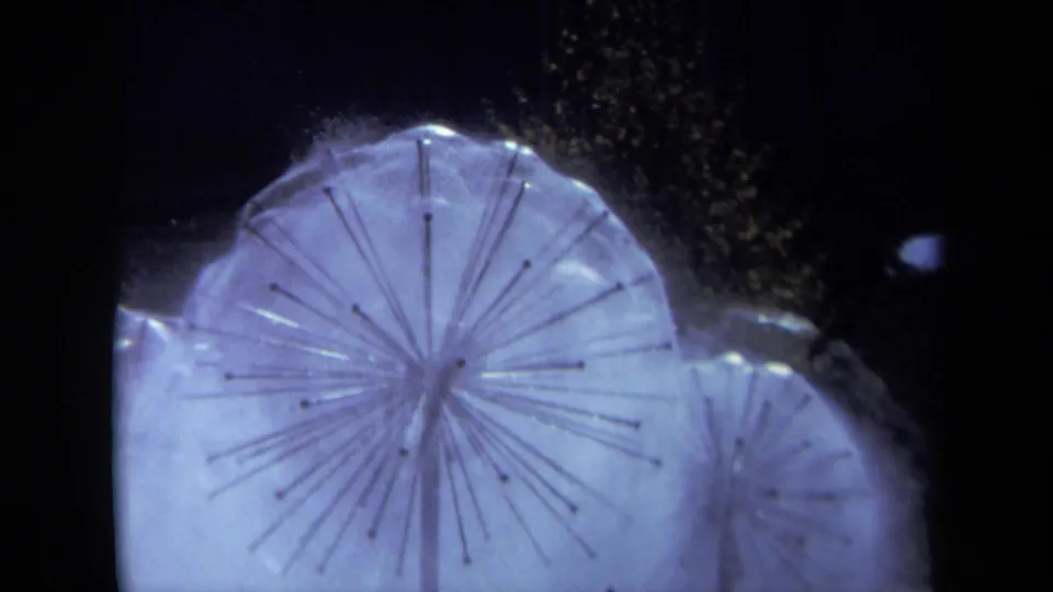 1969 Sacramento 8mm frame showing a snowflake-shaped sprinkler head with radiating arms and pale water spray in close-up.