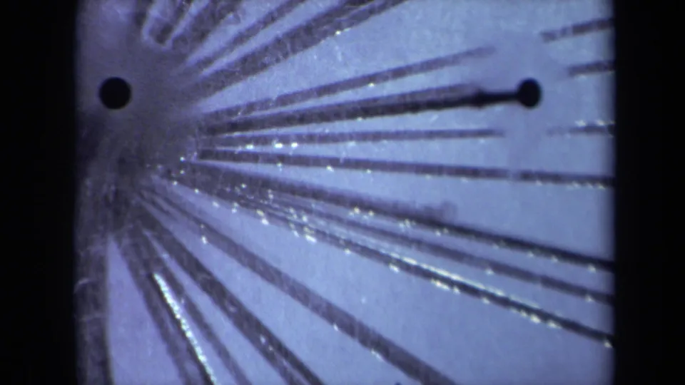 1969 Sacramento 8mm close-up showing conductive stems extending from a fuzzy center with dark contact points and blue-purple tint.