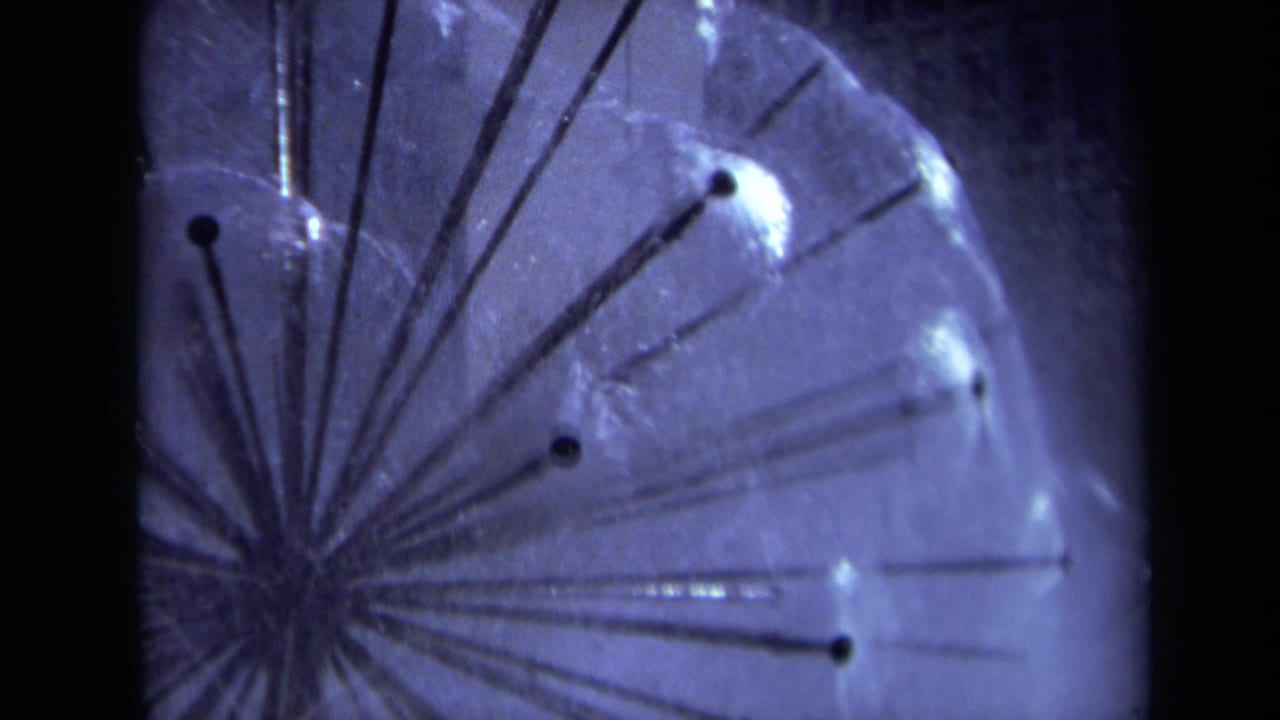 Close view of a translucent globe sprinkler with black rods and misting water.