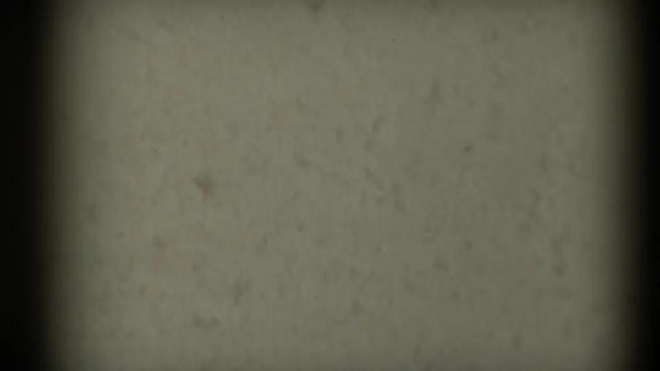 End frame from the 1969 8mm clip showing a mostly blank beige area with a dark film edge and no identifiable fountain detail.