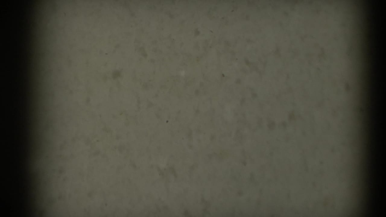 1969 8mm home-movie reel end from Sacramento showing dark borders, a central vertical band, grain, dust, and muted film texture.