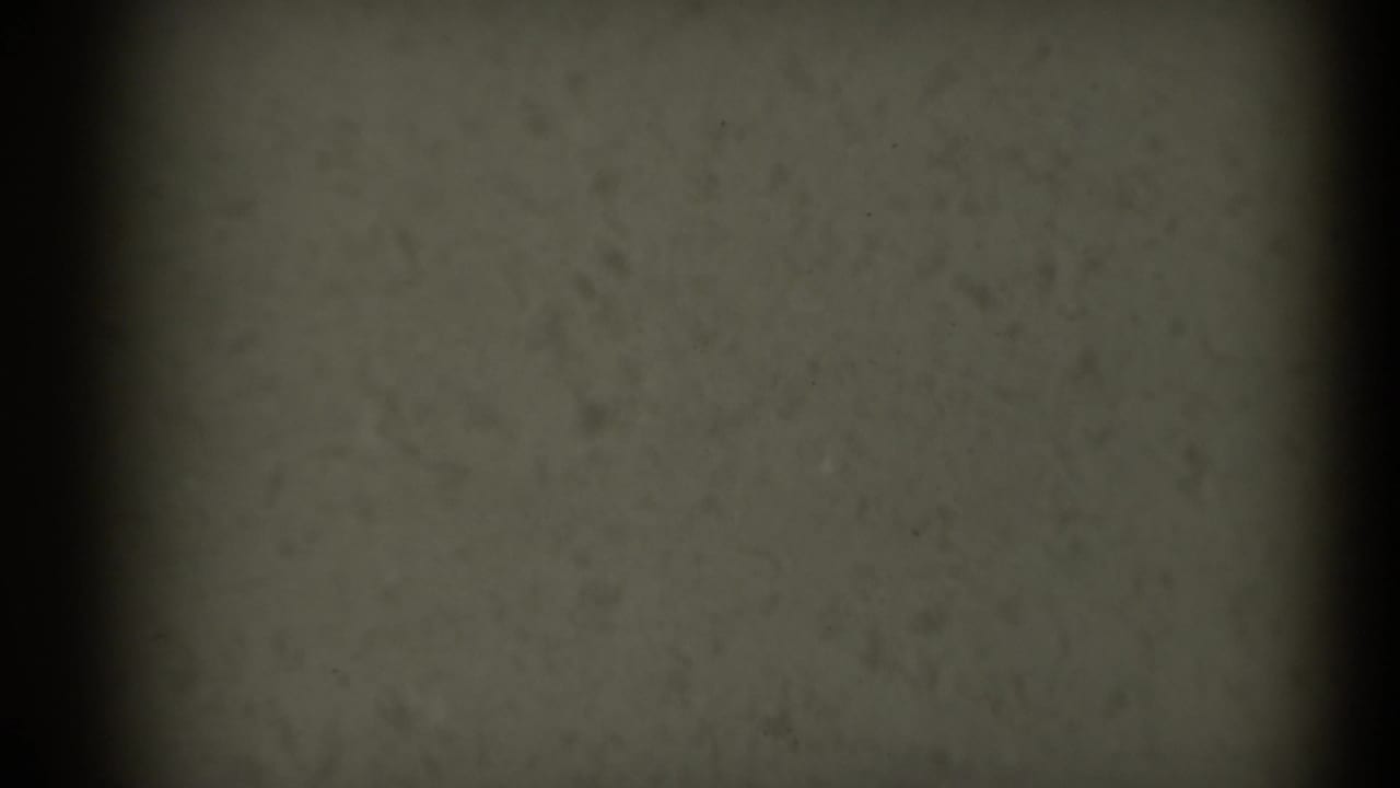 1969 Sacramento 8mm footage shows an end-of-reel film surface with grain, dust, black edge shadow, and no visible subject.