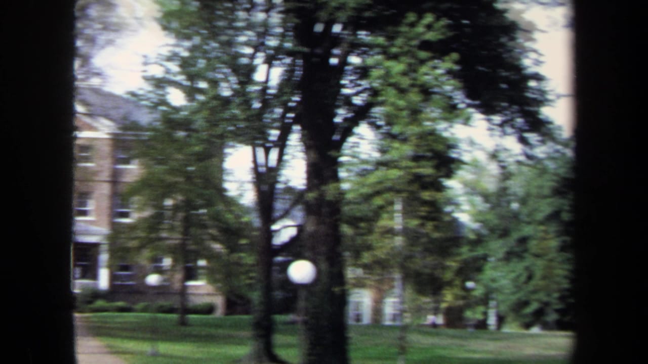 Brick house glimpsed through trees with lawn, path, and globe lamp posts.