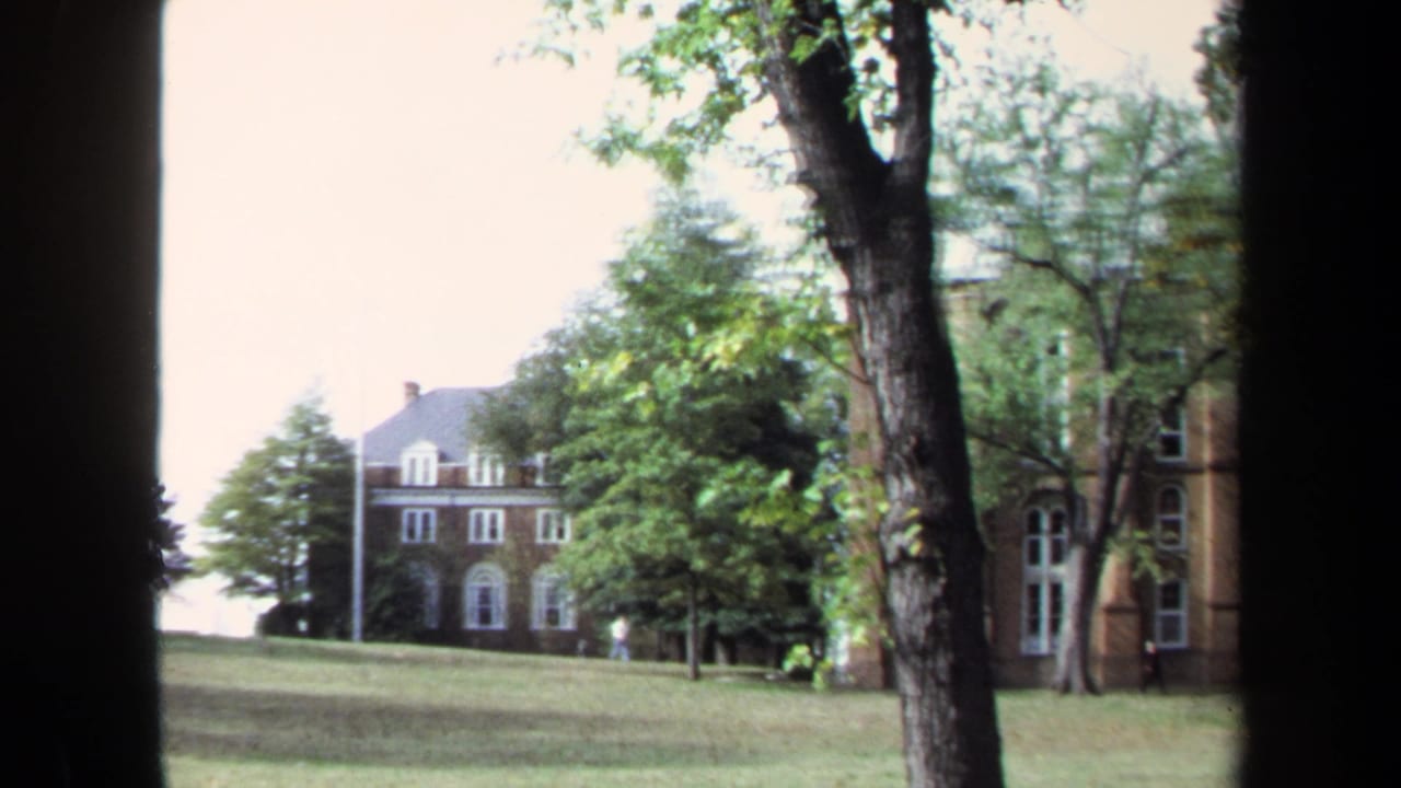 Campus lawn with trees and a brick building partly framed by dark vertical trunks.