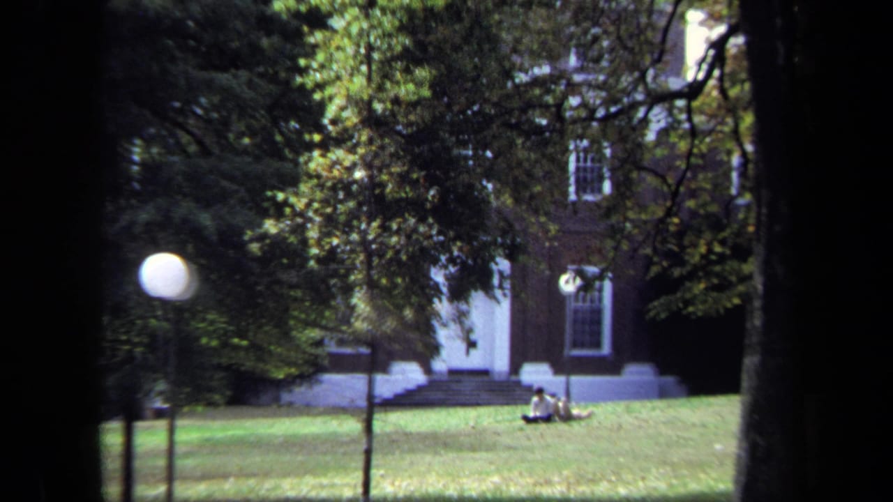 Brick building partly framed by trees, with a lawn, globe lamp, and people seated on the grass.