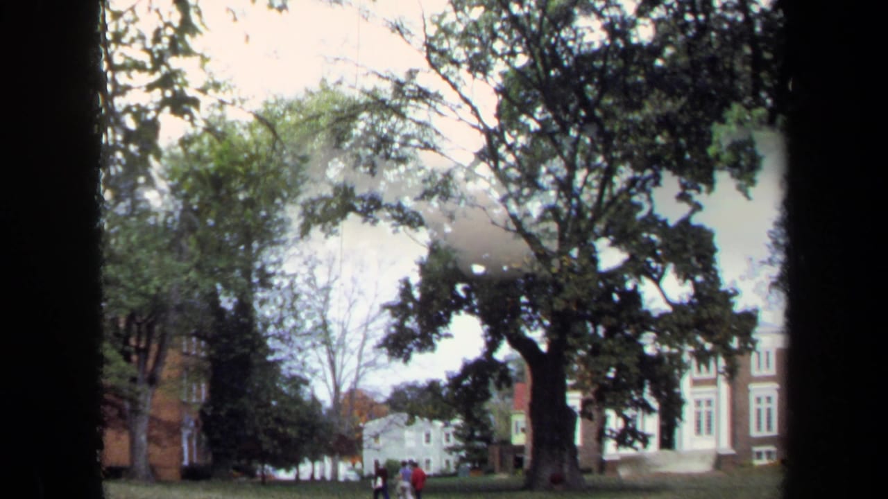 Large trees beside brick and pale buildings with small distant pedestrians.