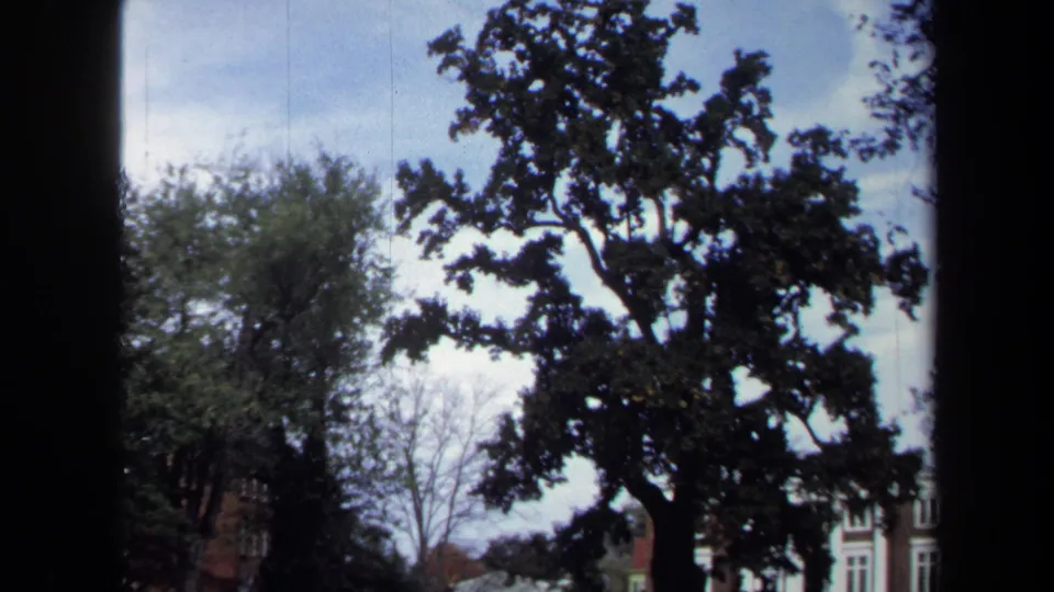 1970 Annapolis 8mm frame of a broad tree canopy, park lawn, and building facades near the right edge of the view.