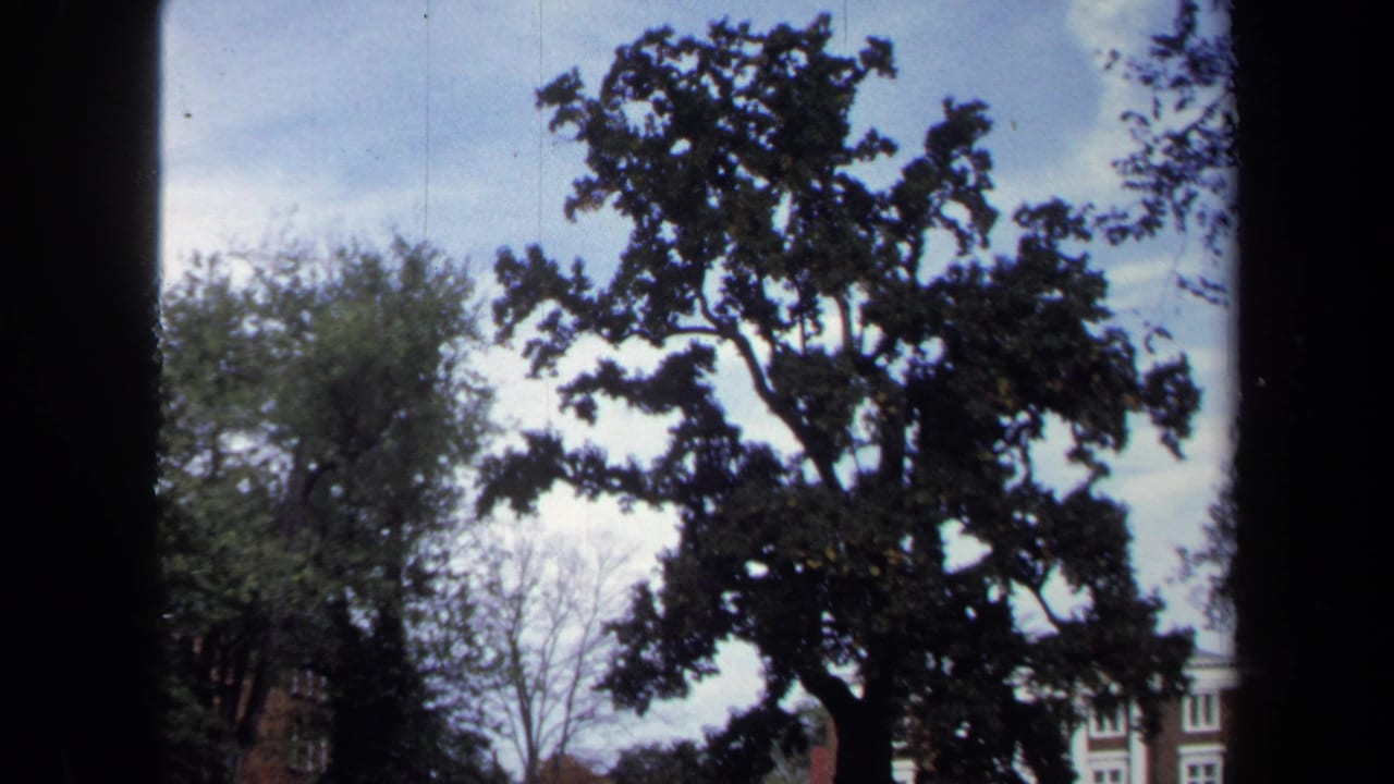 1970 Annapolis 8mm frame showing a large tree through dark window edges with sky and partial building behind it.