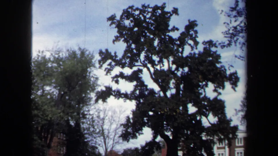 1970 Annapolis 8mm frame showing a large tree through dark window edges with sky and partial building behind it.