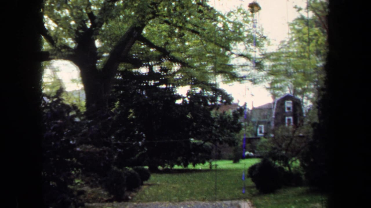Garden lawn with large trees, shrubs and distant brick buildings beyond dark frame edges.