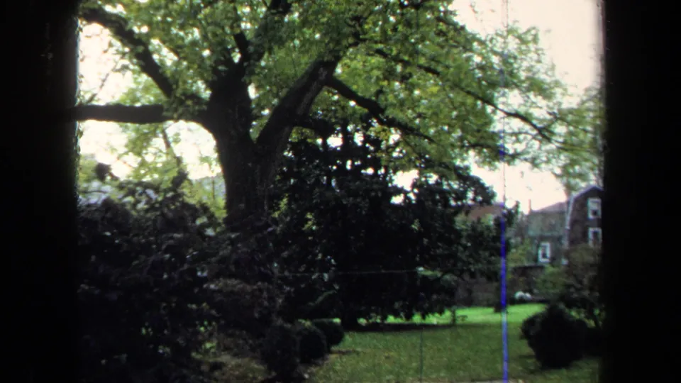 1970 Annapolis home-movie view of a mature tree over landscaped grass, shrubs and distant brick buildings in faded 8mm color.