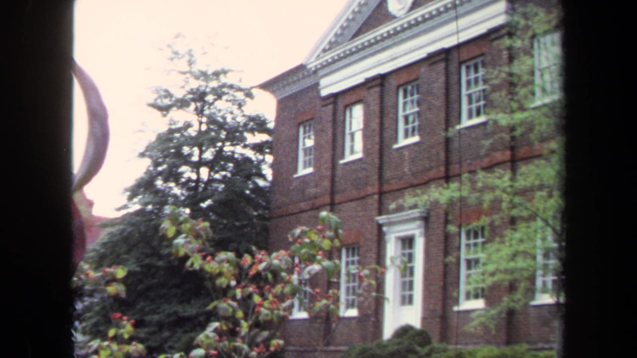 Brick building corner with white windows, doorway trim, trees, and dark vertical window framing.