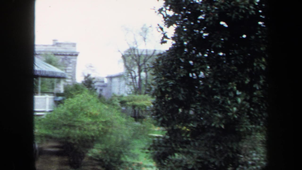 View across trees and shrubs toward pale houses with porches and awnings.