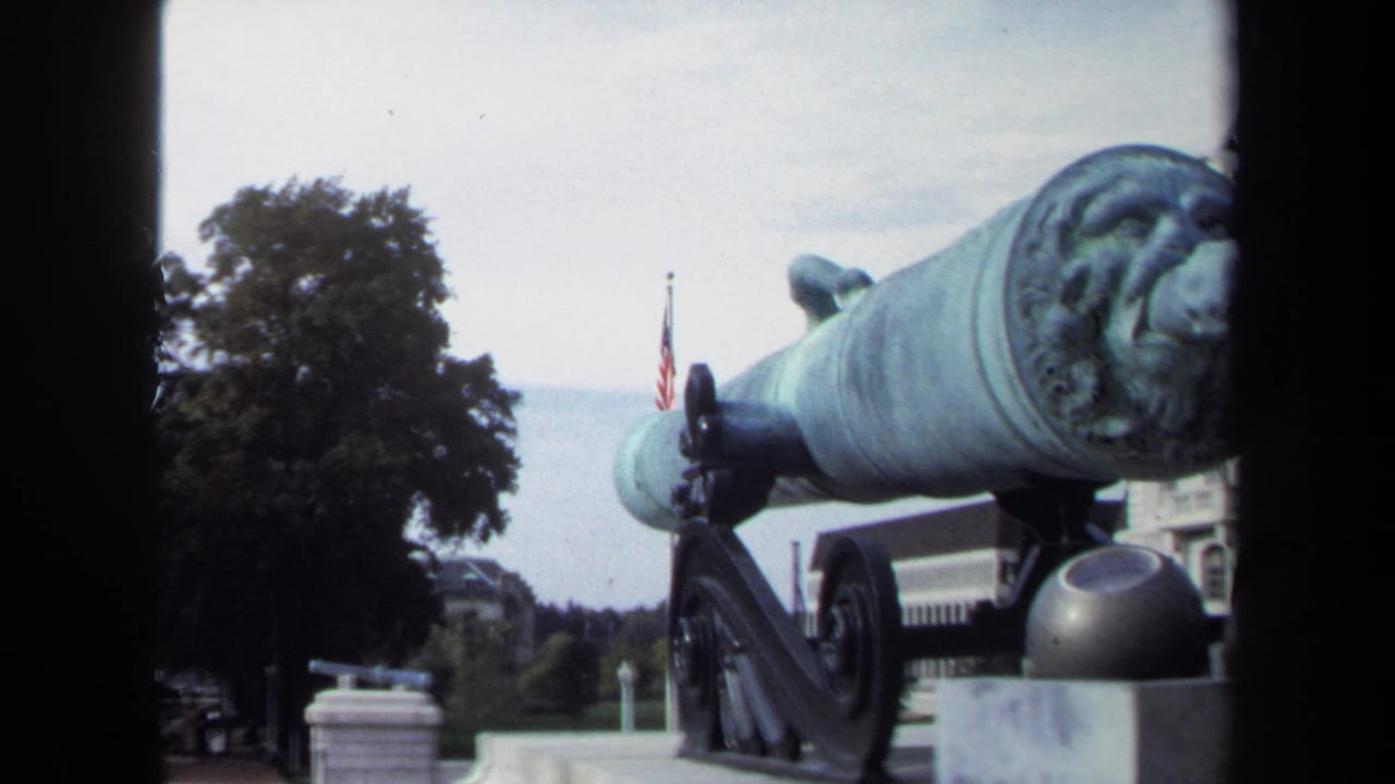 Large green cannon in close foreground with trees, flag, and stone grounds behind it.