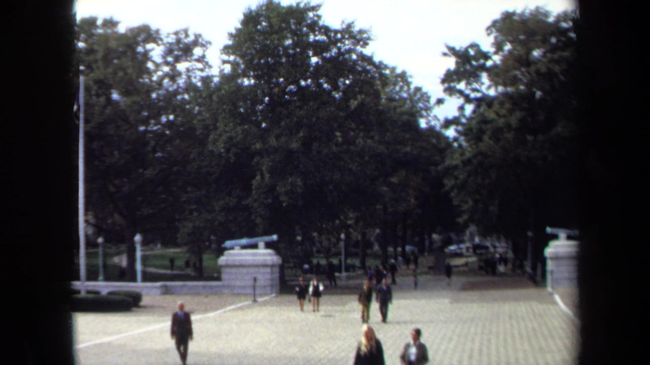 People walk through a tree-lined courtyard with stone cannon mounts on either side.